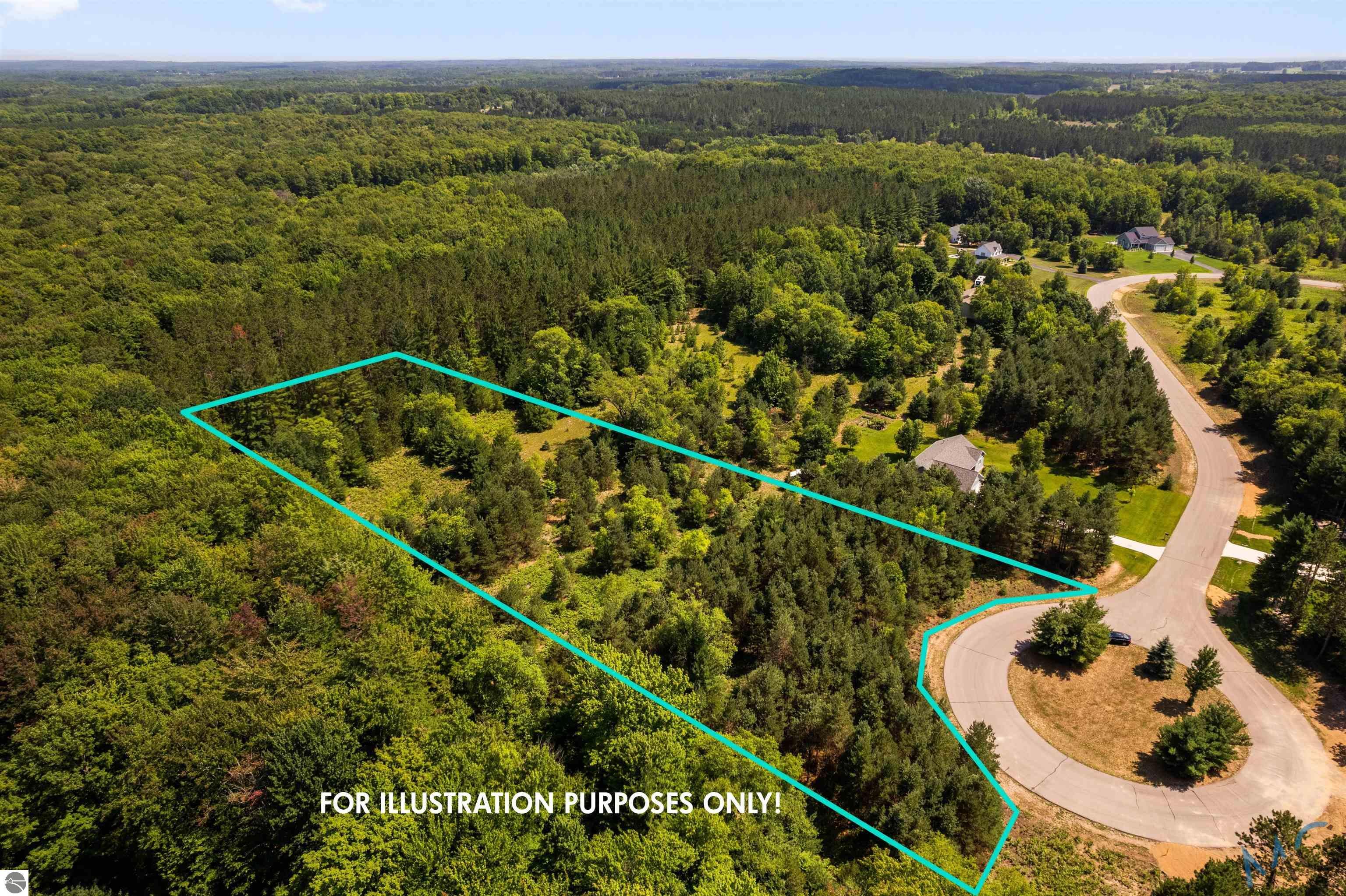 0 Danbury Road  Kingsley MI 49649 photo