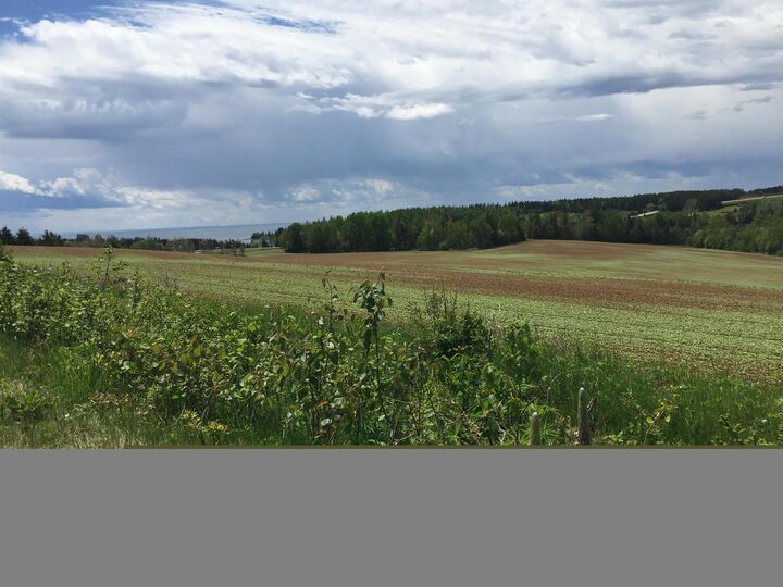 South Melville Road  Desable PE C0A 1J0 photo