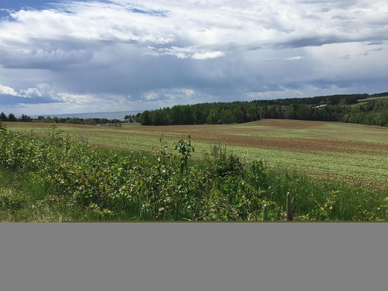 Property Photo: South Melville Road PE C0A 1J0