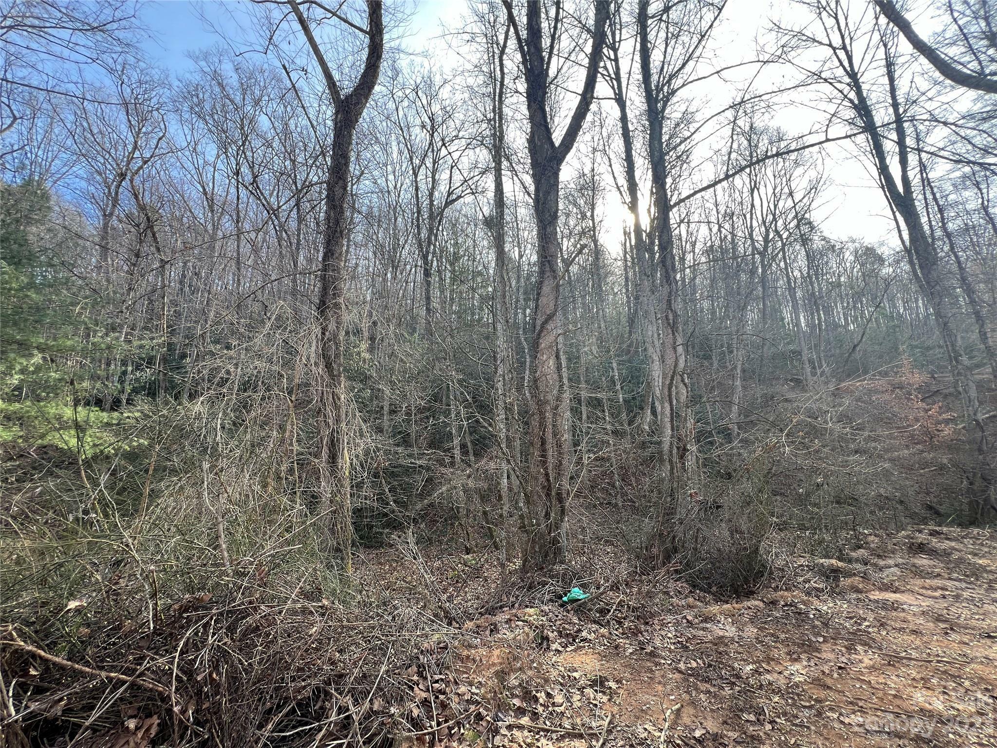 Property Photo:  Lot 19 Oakdale Estates Drive  NC 28762 