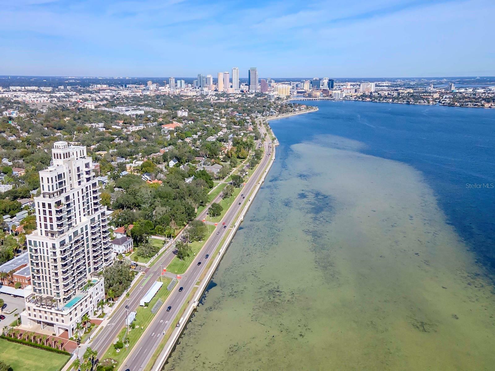 Property Photo:  2103 Bayshore Boulevard 903  FL 33606 