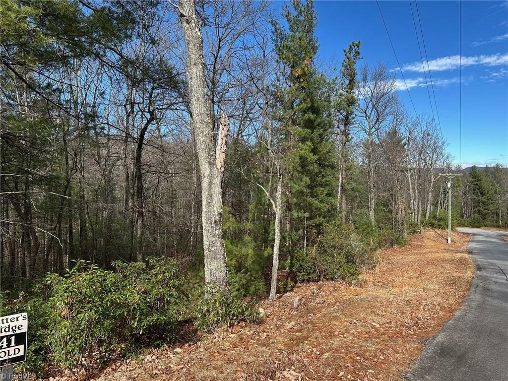 Property Photo:  Lot 41 Sutters Ridge Road  NC 28649 