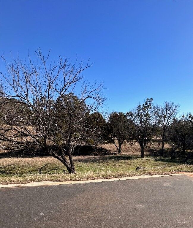 Property Photo: W2043 Purple Granite TX 78657