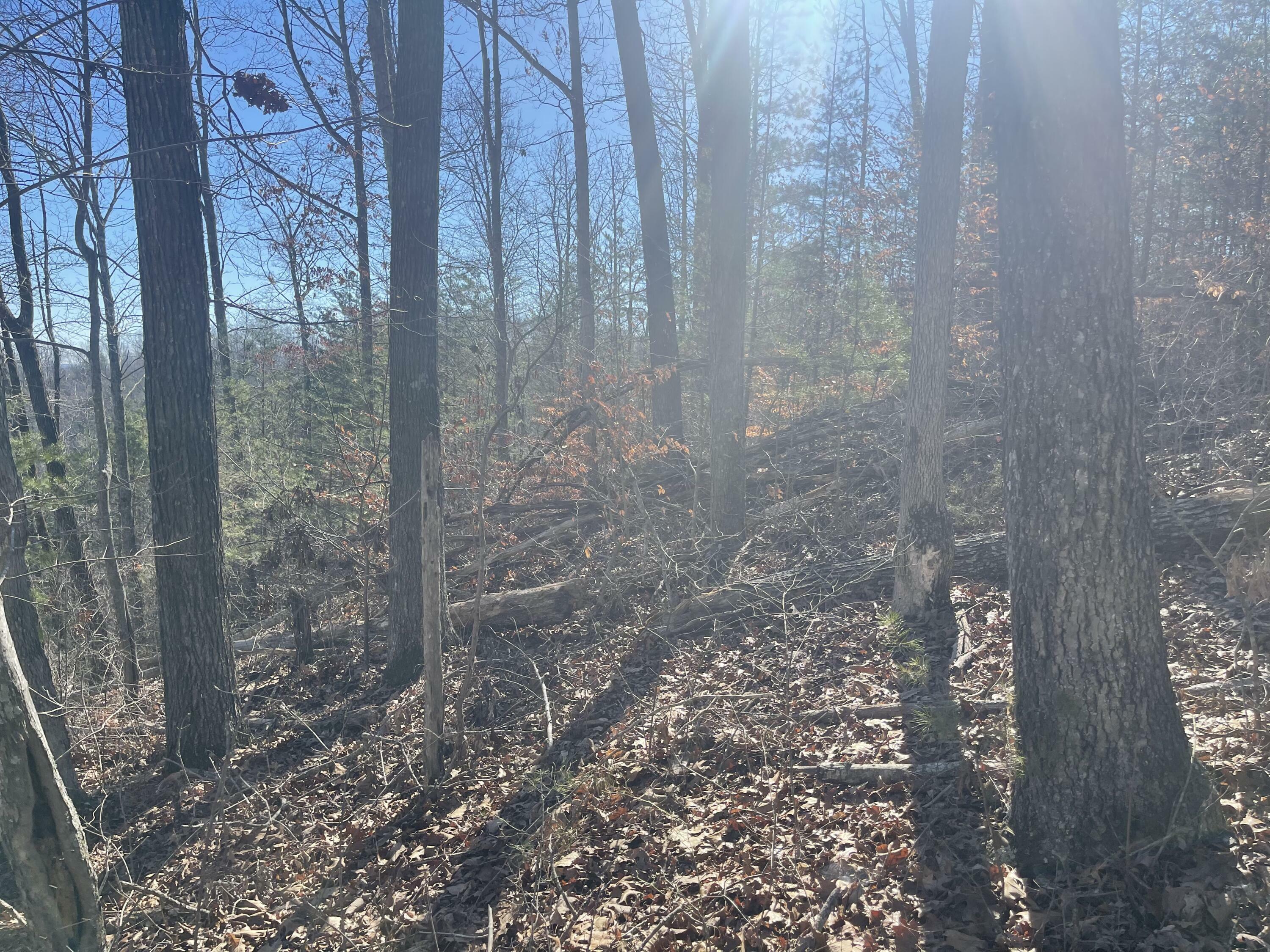 Property Photo:  Lot 66 Sandstone Point  KY 42633 