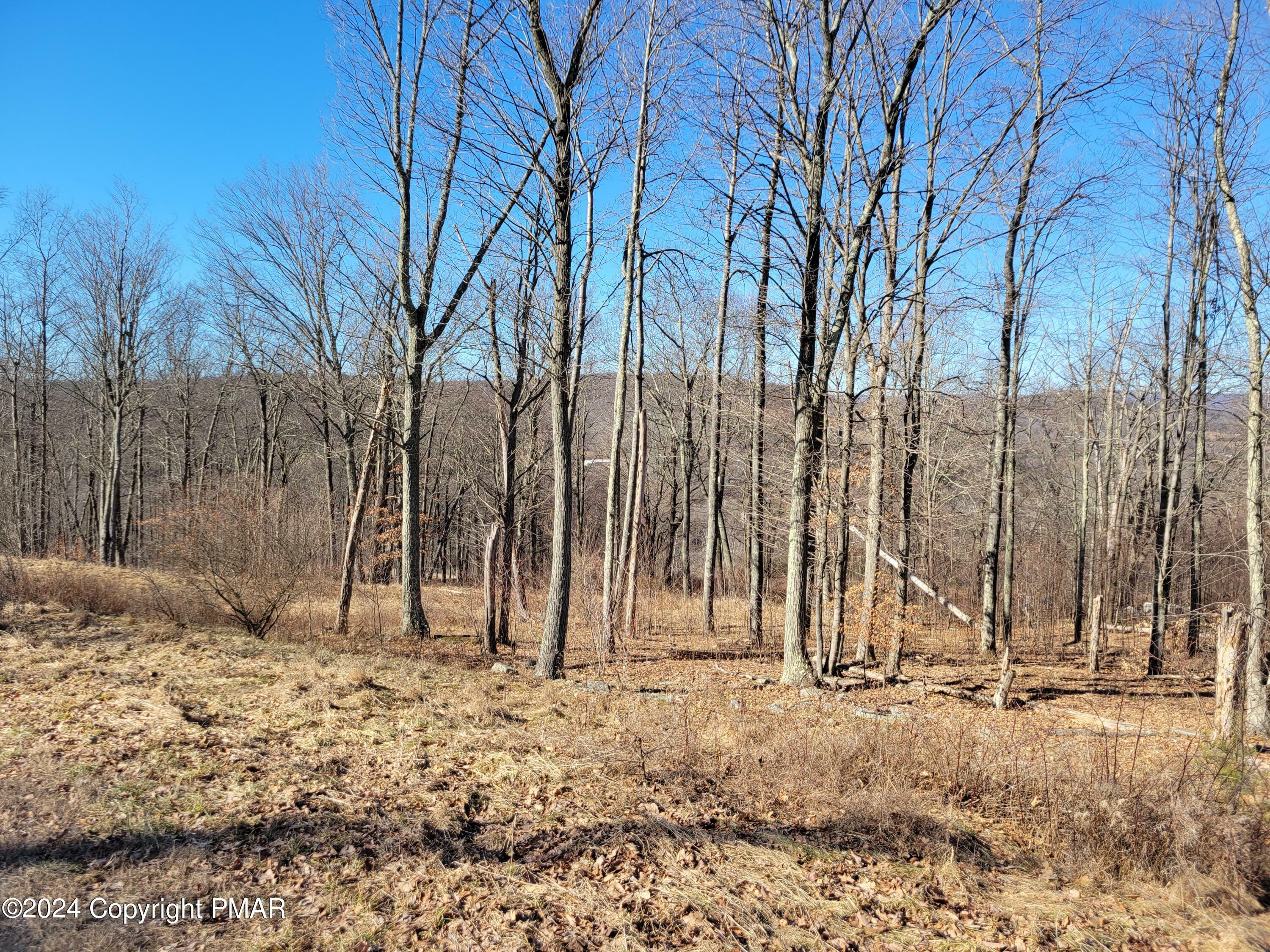 Property Photo:  60 Scenicview  PA 18612 