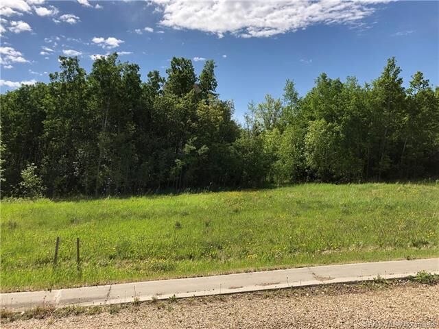 Property Photo: Lot 4 44 Avenue Close AB T0C 0B0