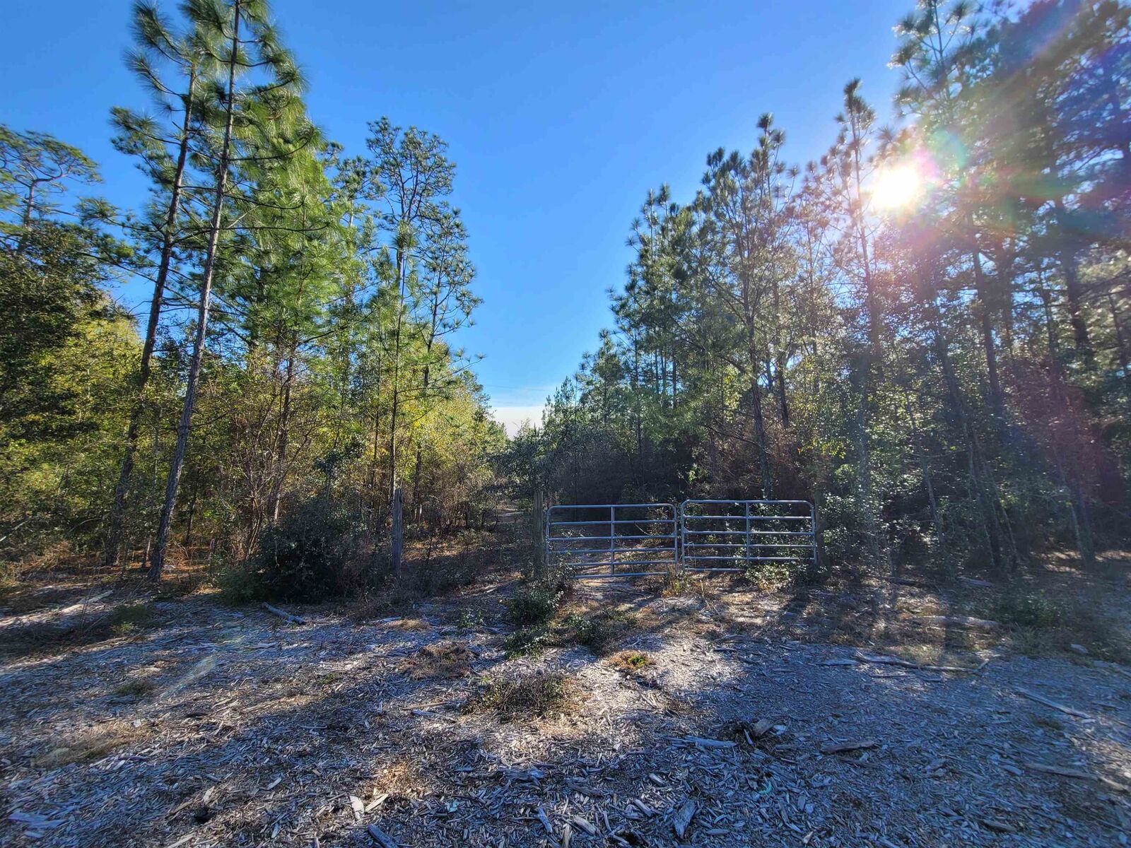 Property Photo:  Lots 1-6 Blue Lake Run --  FL 32310 