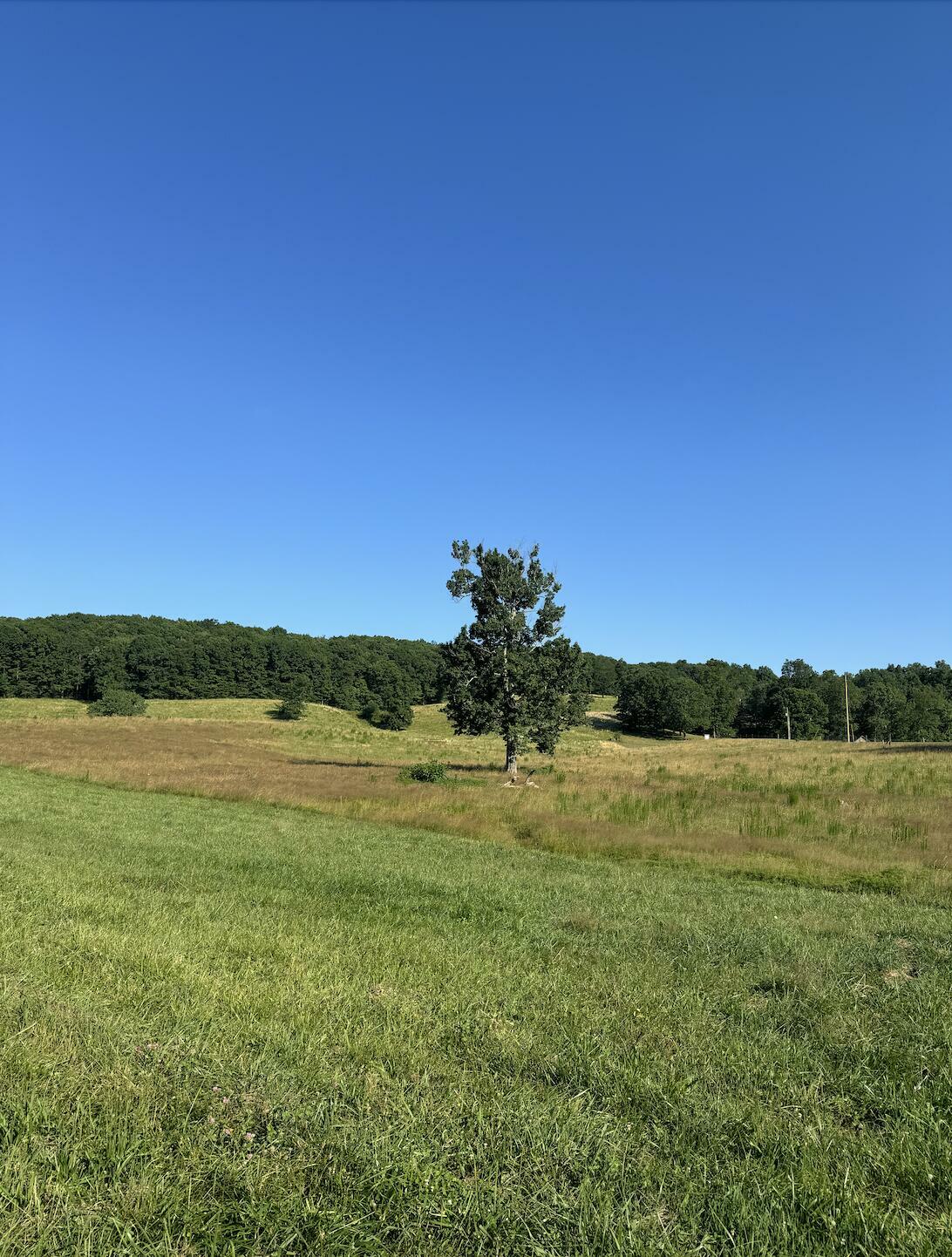 Property Photo: 0 Old Dirt Road TN 37338