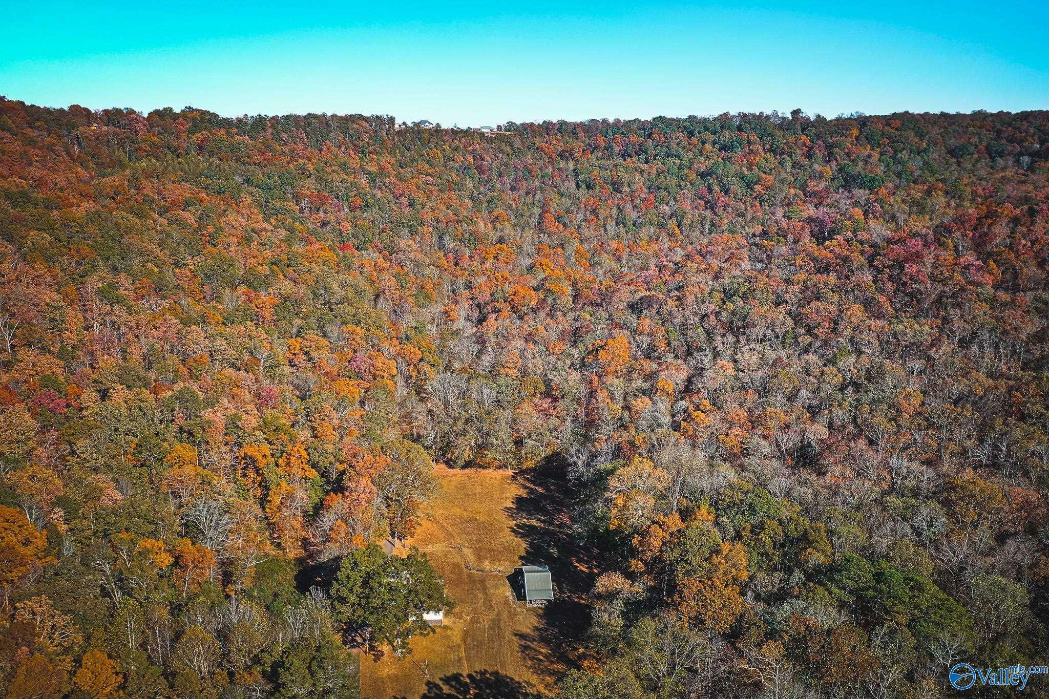156 Acres Shenault Hollow  Grant AL 35747 photo
