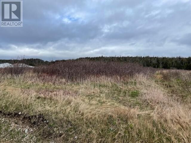 Property Photo:  Lot 146 Front Road  NL A0N 1T0 