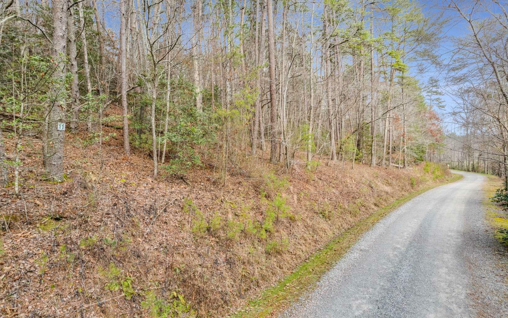 Property Photo:  Lt11 Possum Poke Road  GA 30536 