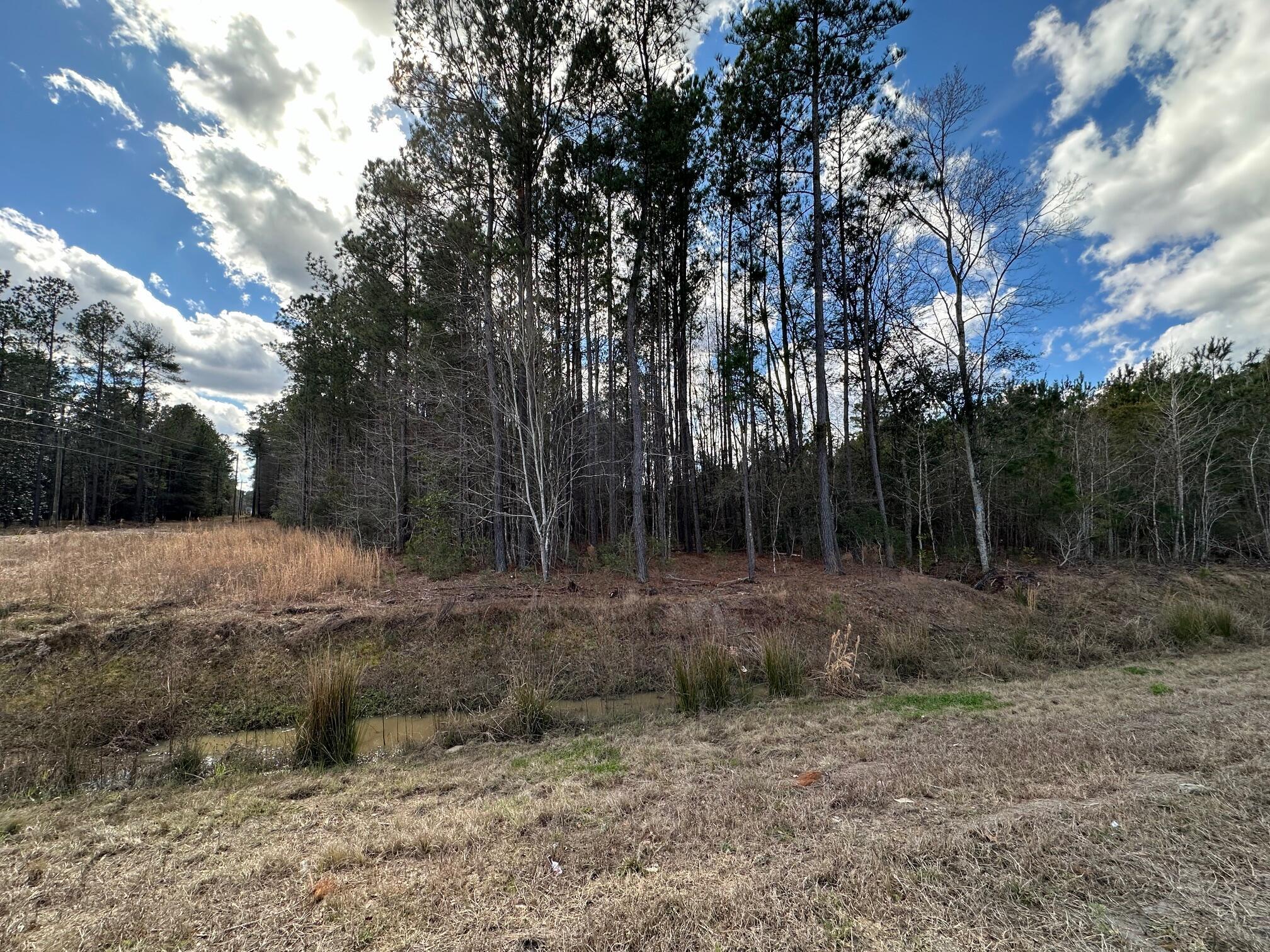 Property Photo: 859 Highway 78 SC 29472