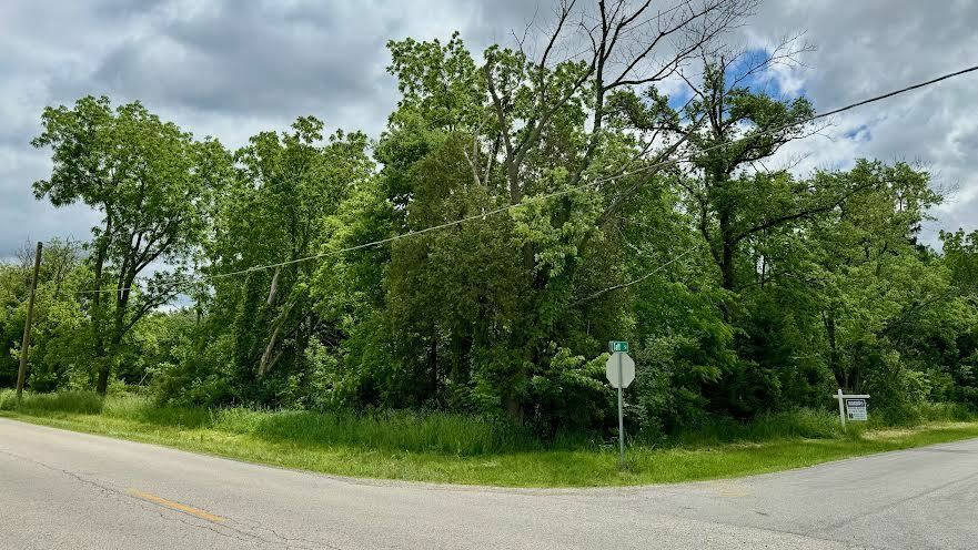 Property Photo:  Lot 1 Taft Street  IL 60071 