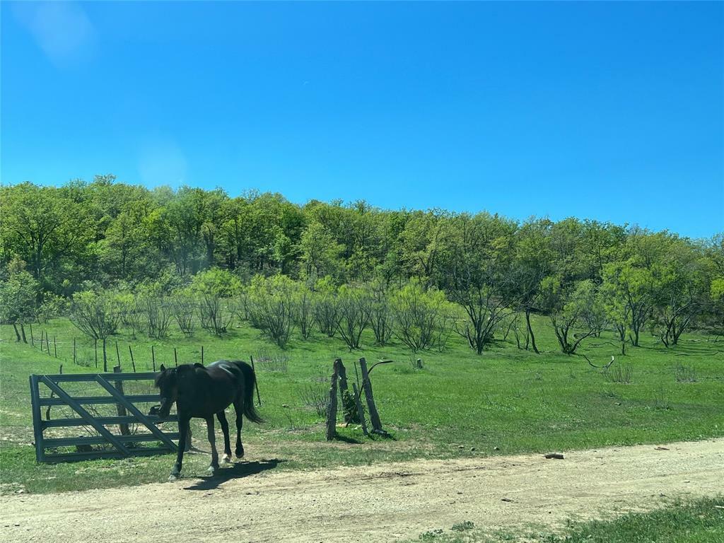 Property Photo:  4127 Salt Creek Road  TX 76458 