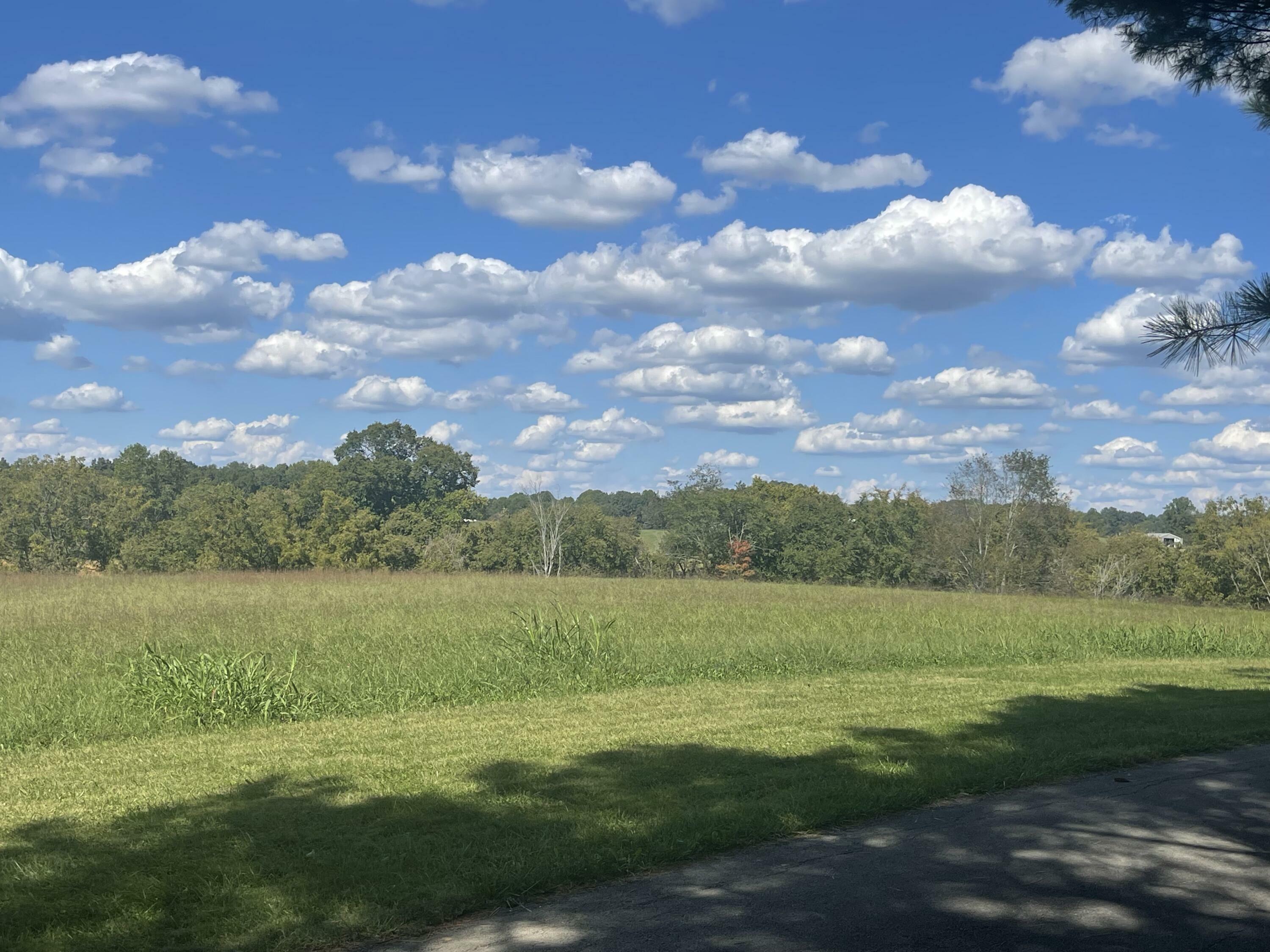 Property Photo:  Lot 90 Edgewater  KY 42642 