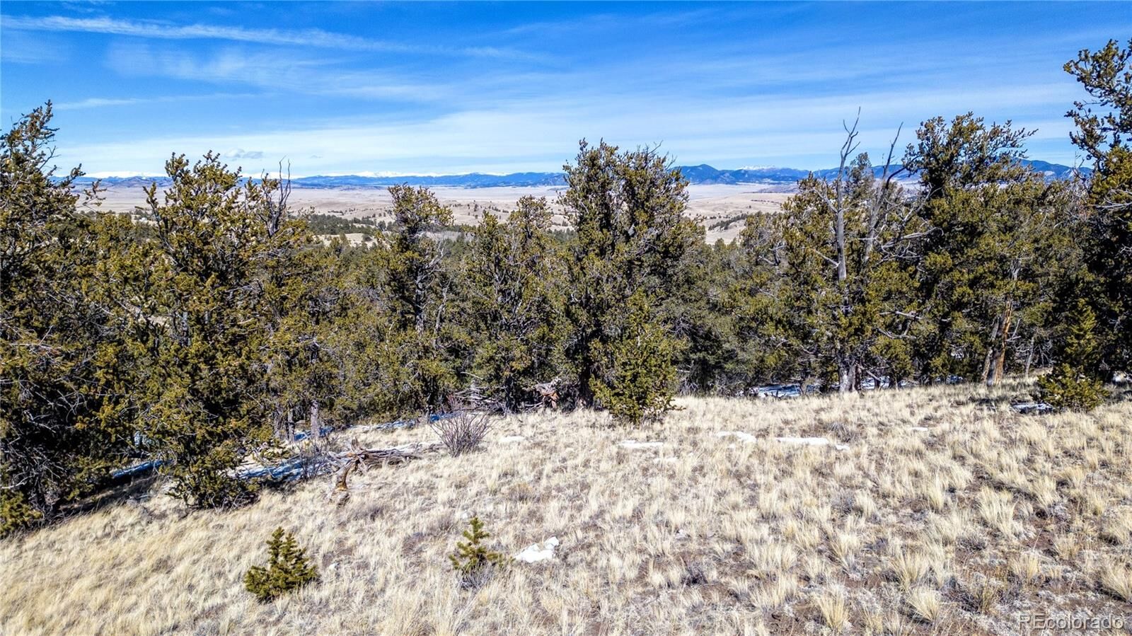 Property Photo: 774 Kuipers Drive CO 80449