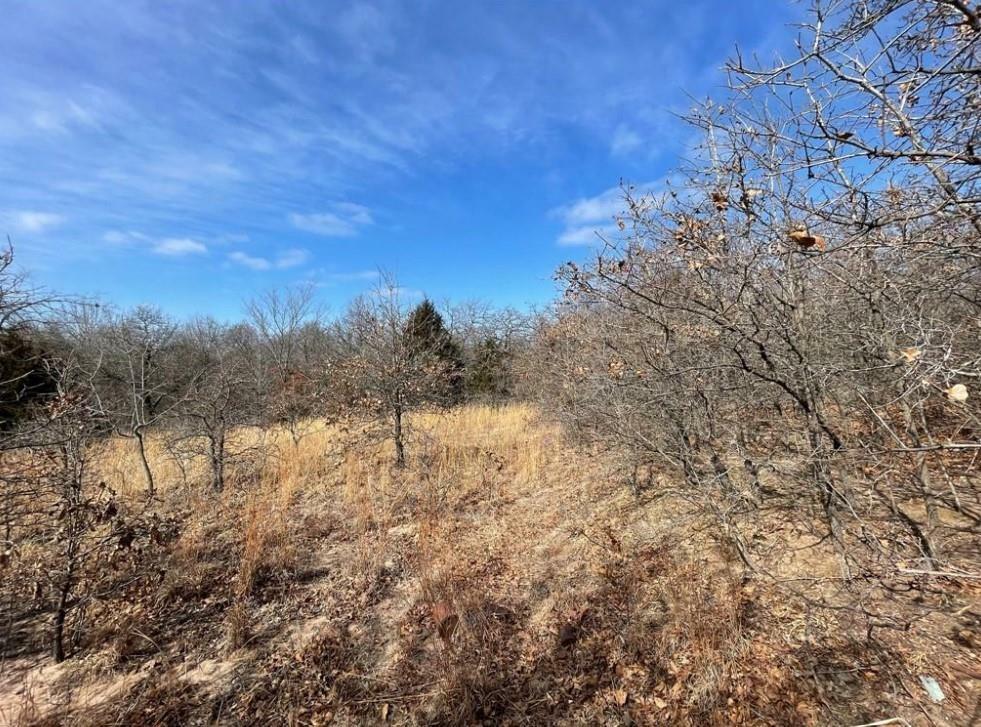 Property Photo:  0 Lot 9 Toad Road  OK 73045 