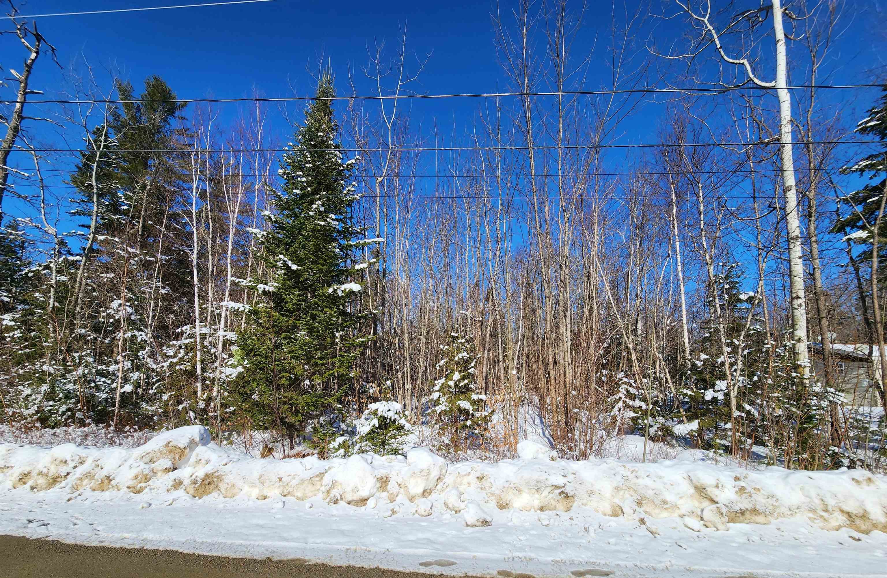 Property Photo:  Lot 201 James Street  NH 03574 