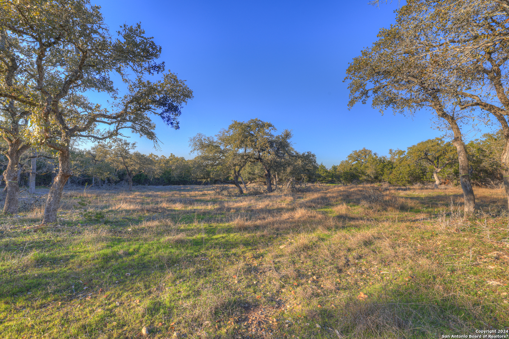 Property Photo:  1156 Towhee Trl  TX 78132 