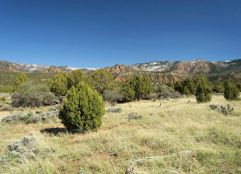 Property Photo:  4356 W 1900 S Lot 7, Ph 4  UT 84720 