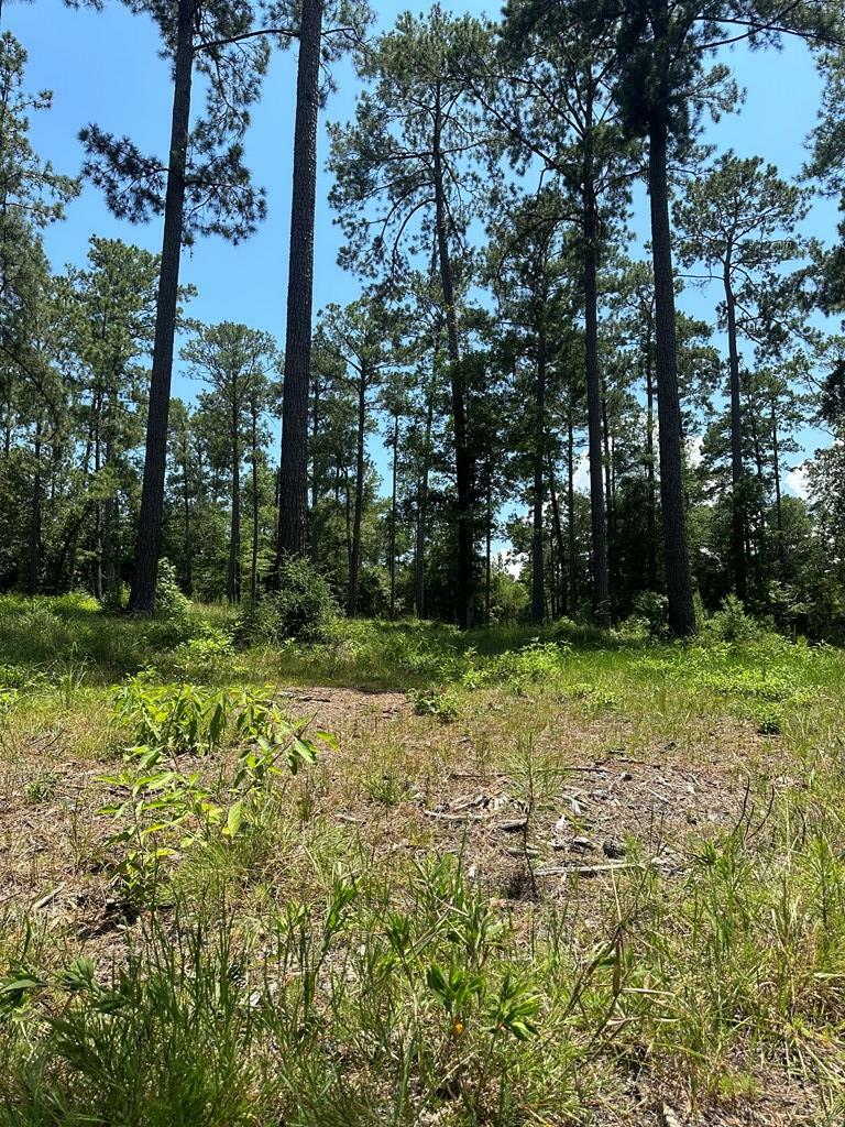 Property Photo:  6028 Lot 2 Pr 6028  TX 75931 