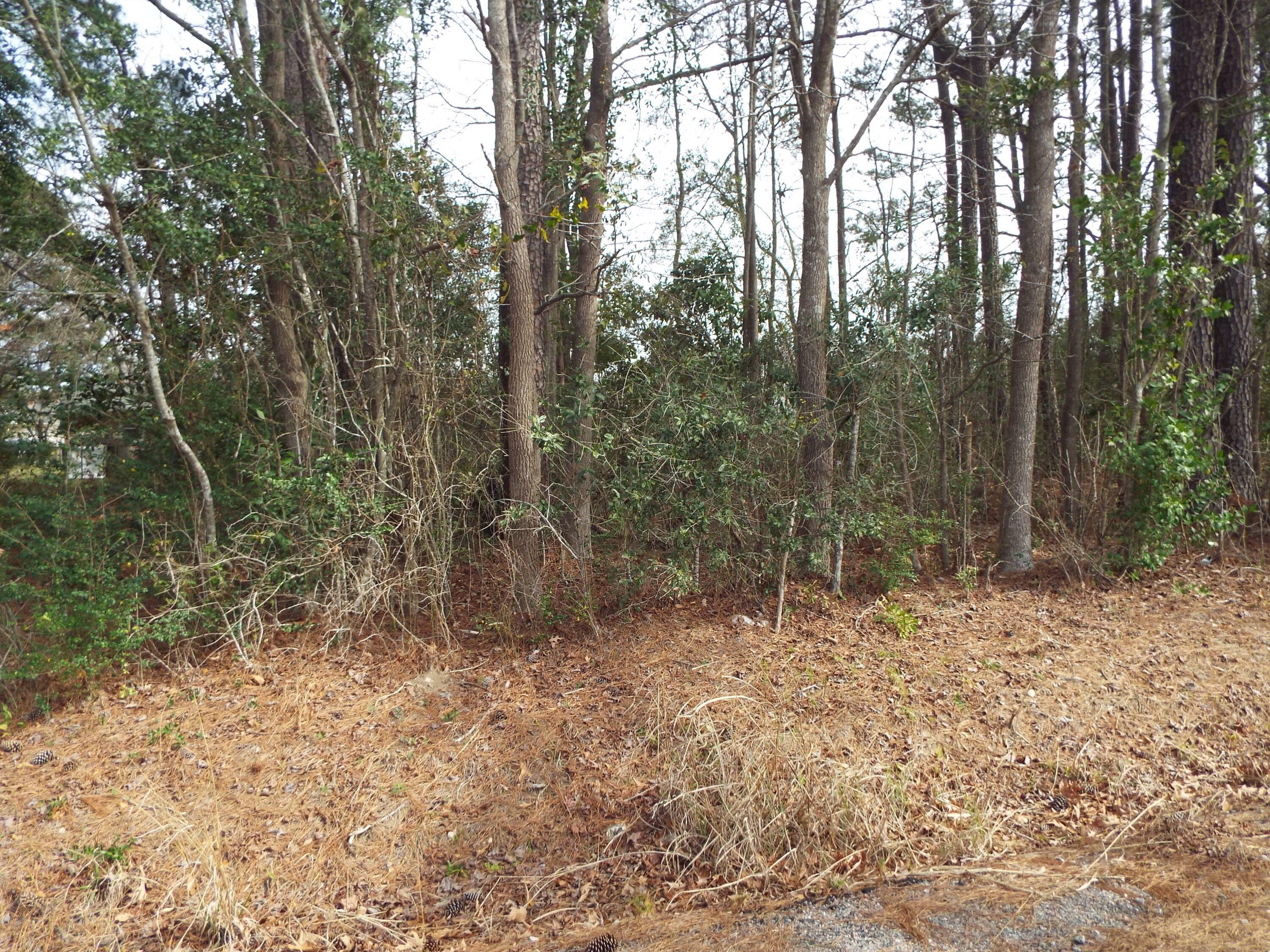 Property Photo:  0 Dennis Drive Lot 25  SC 29445 