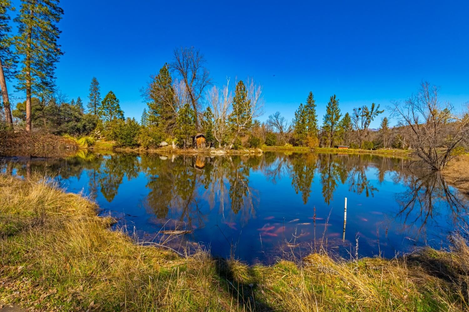 Property Photo:  0 Wortham Road  CA 93644 