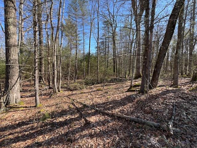 Lot 32.5 Devlin Road  Highland NY 12743 photo