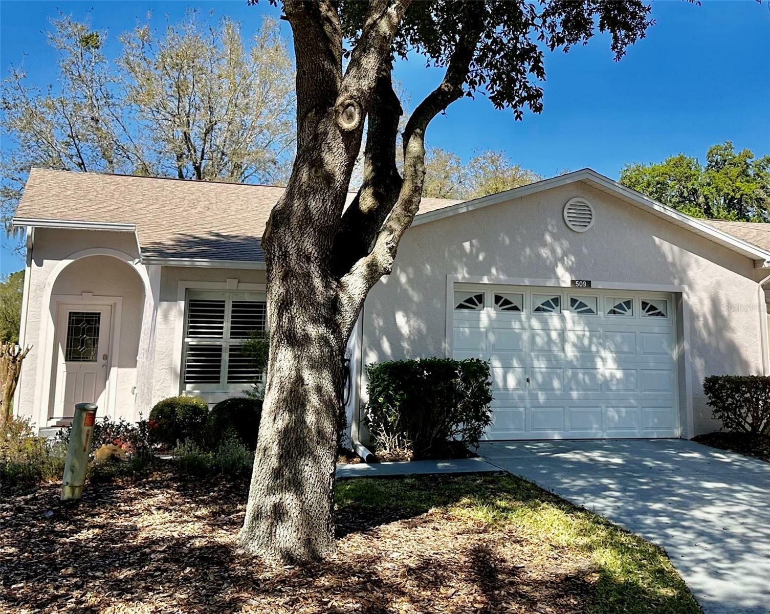 Property Photo:  509 Golfview Court  FL 34748 