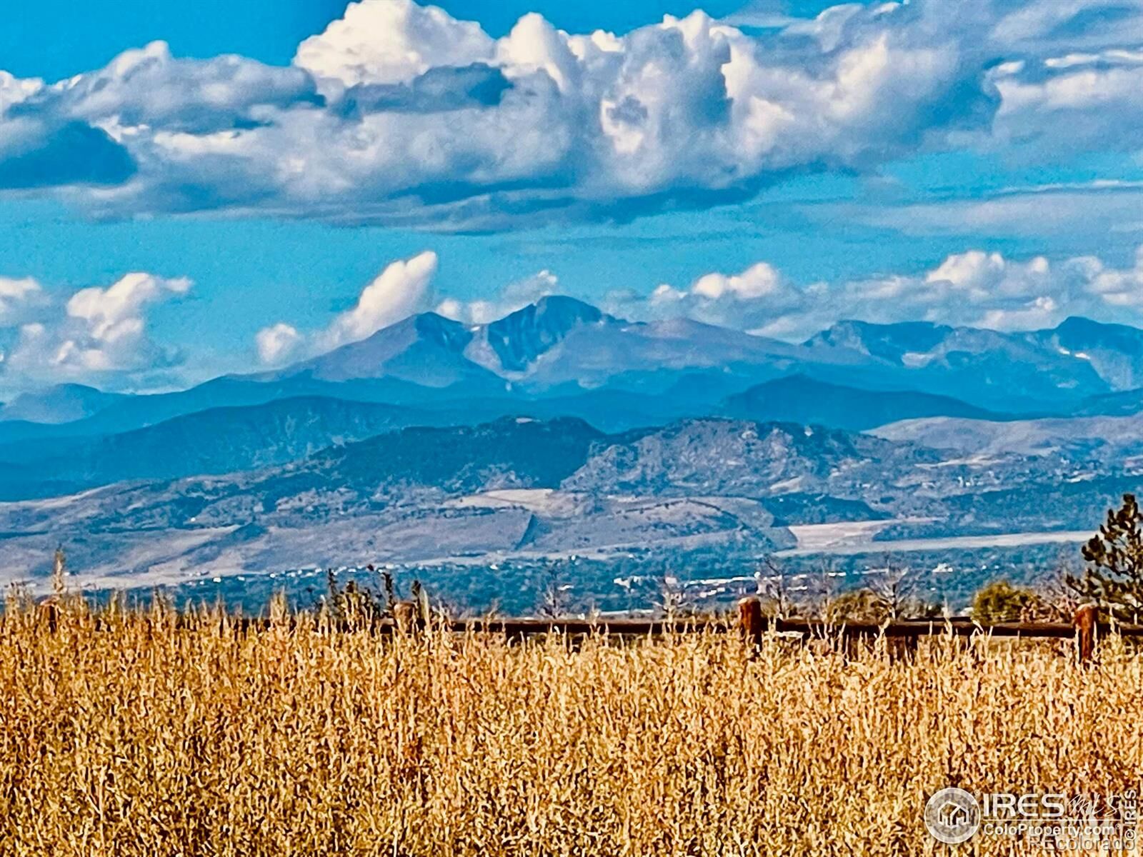 Property Photo:  6952 Gander Way  CO 80524 