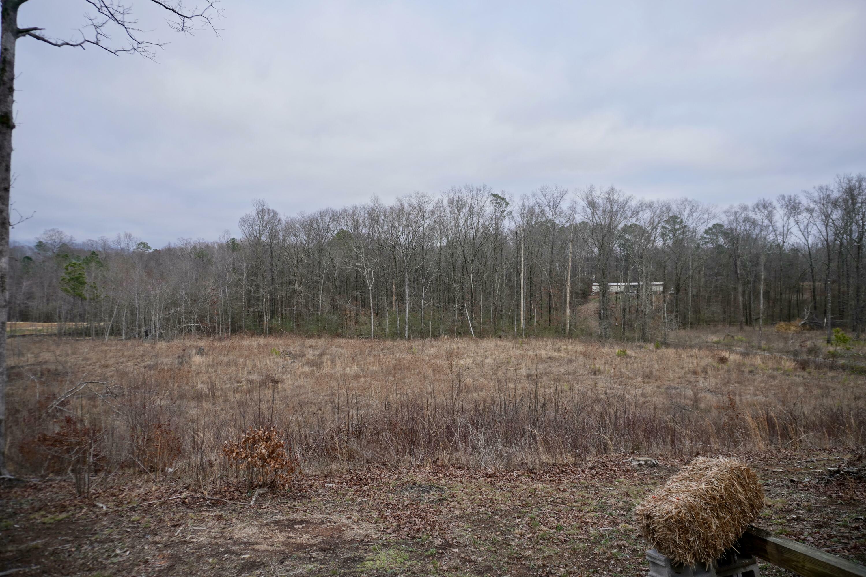 Property Photo:  0 Wilson Rd  GA 30705 