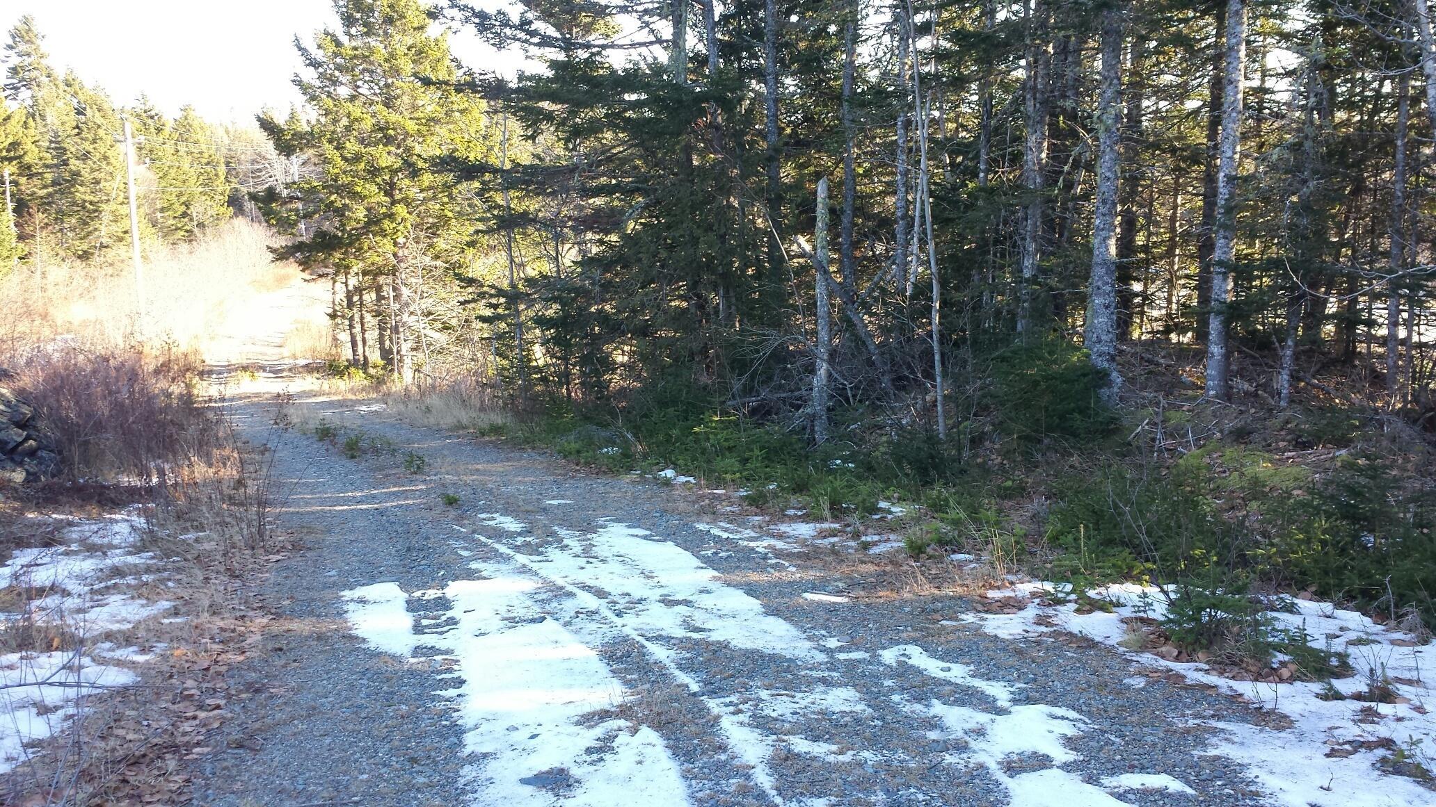 Property Photo:  1391 US-1  ME 04691 