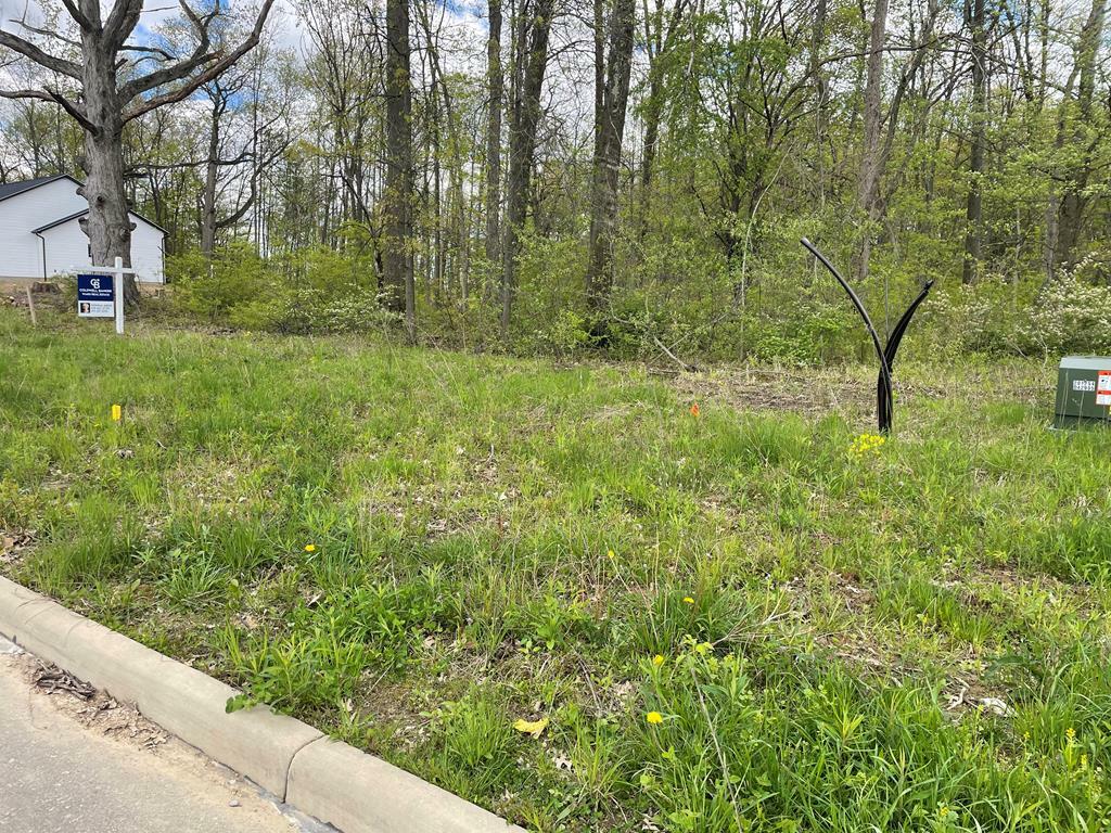 0 Shady Lane Lot #9  Ashland OH 44805 photo