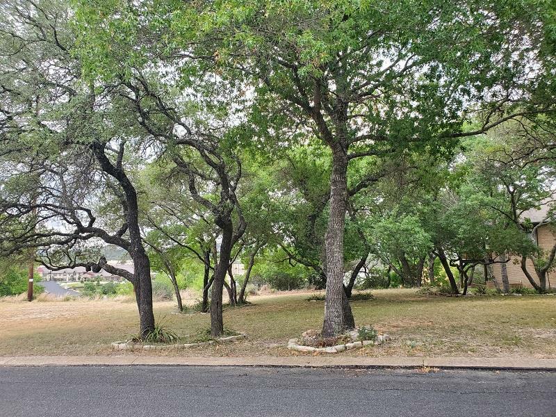 Property Photo:  433 Summit Circle  TX 78624 