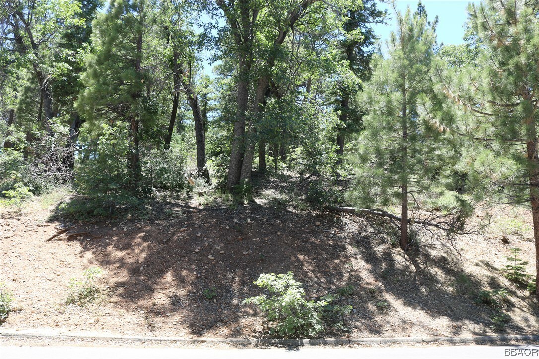 Property Photo:  1375 La Crescenta Drive  CA 92314 