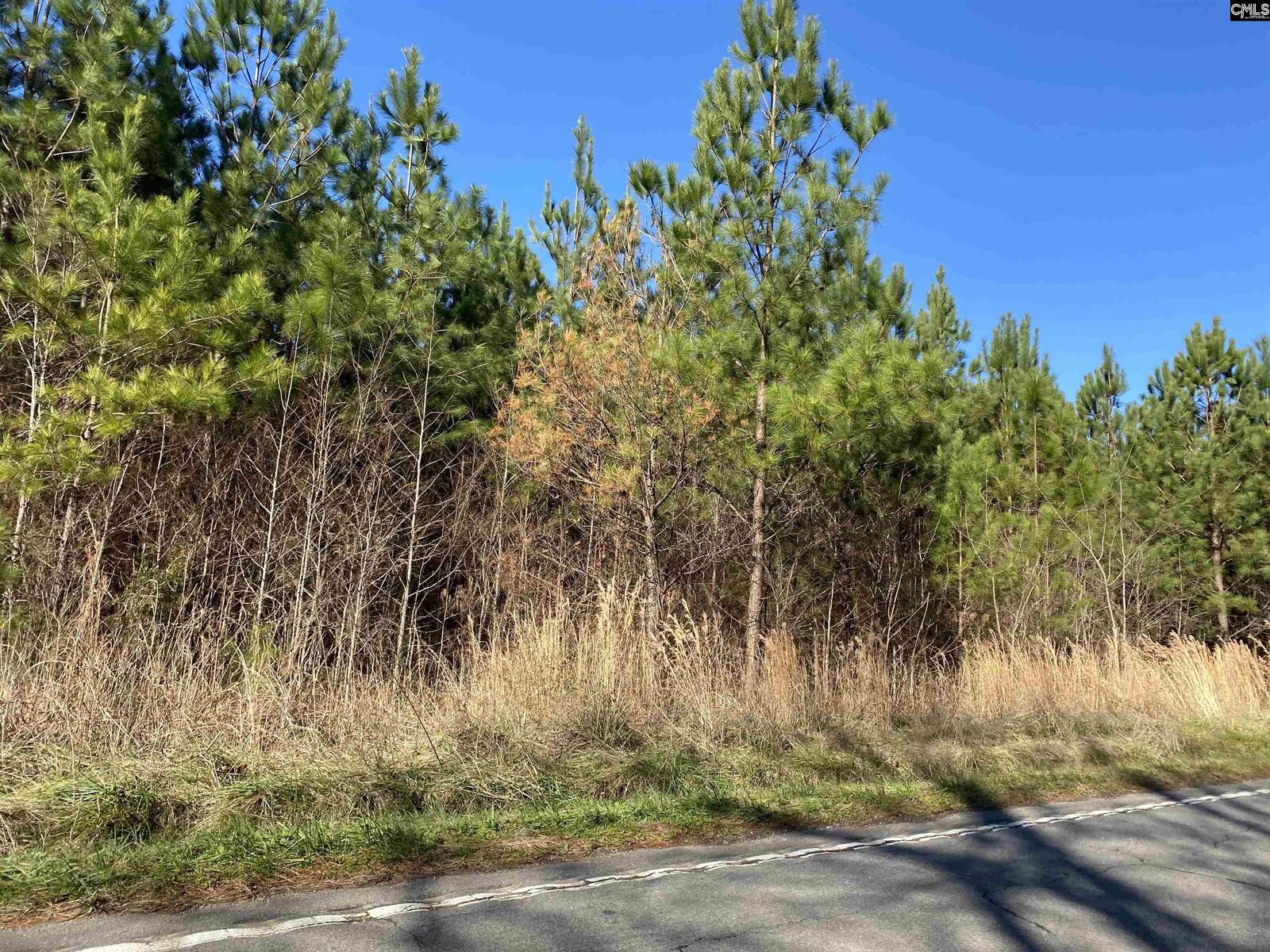 Property Photo: 0 Priceville Road SC 29054