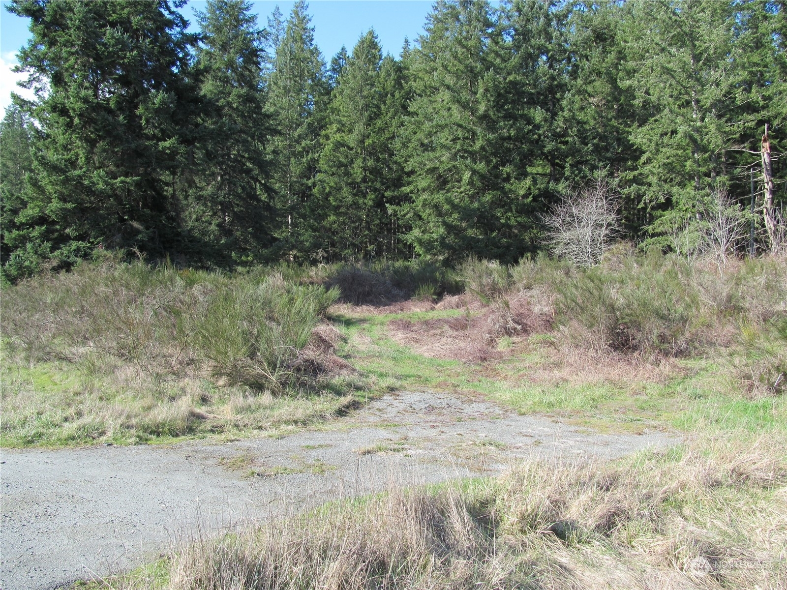 Property Photo:  0 State Route 525  WA 98260 