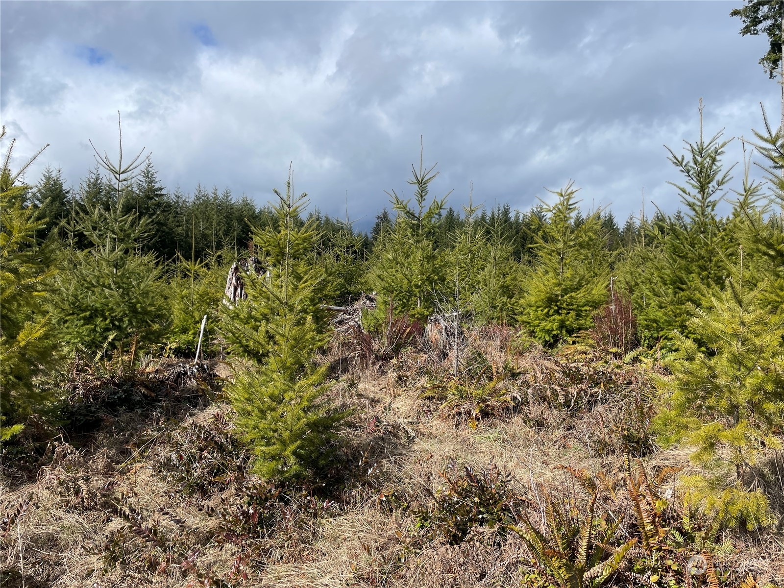 Property Photo: 0 Na Hooper Road WA 98632