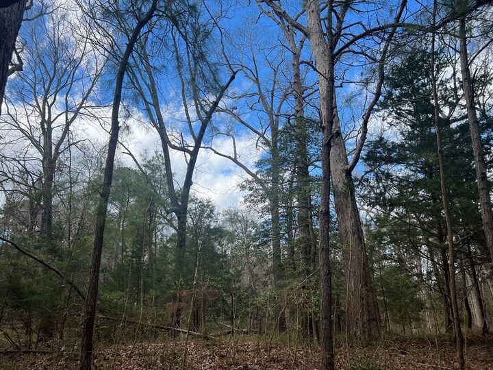 Property Photo: Lot 3A Harbour Ln VA 23310