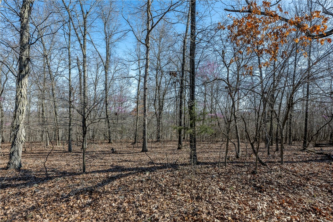 610 County Rd Cr-157  Eureka Springs AR 72632 photo