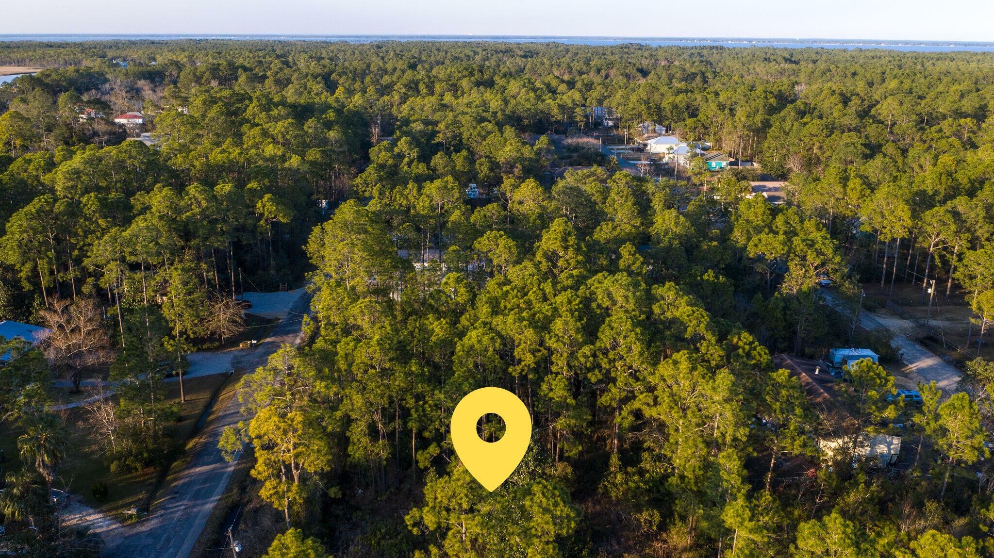 Property Photo:  Lot 16 Central 8th Street  FL 32459 