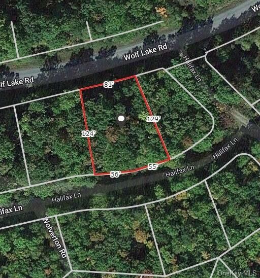 Property Photo: Halifax Lane NY 12775