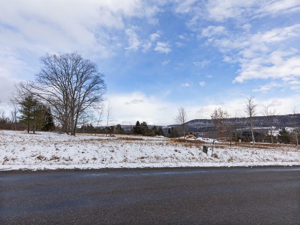 Property Photo:  Lot 12 Hemlock Hills Rd  PA 18848 