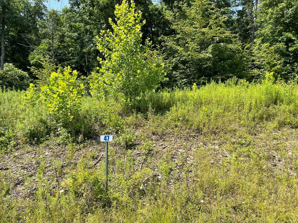 Property Photo:  Lot 47 Hemlock Hills Rd  PA 18848 