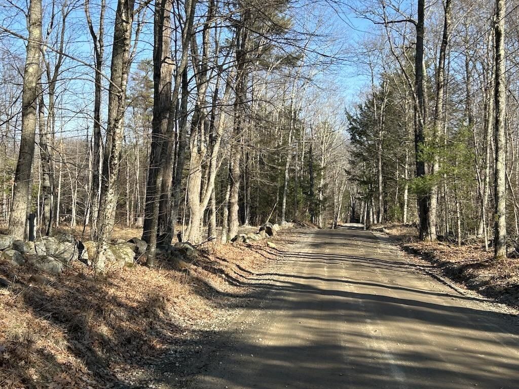 Property Photo:  Lot 46-2 Dooe Road  NH 03444 