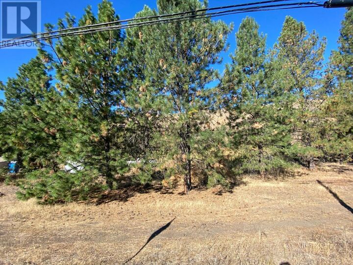Property Photo:  Lot 2 41 Highway  BC V0H 1H5 
