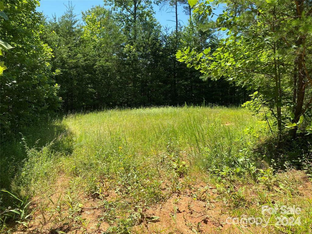 Property Photo:  15159 Hwy 226 South  NC 28167 