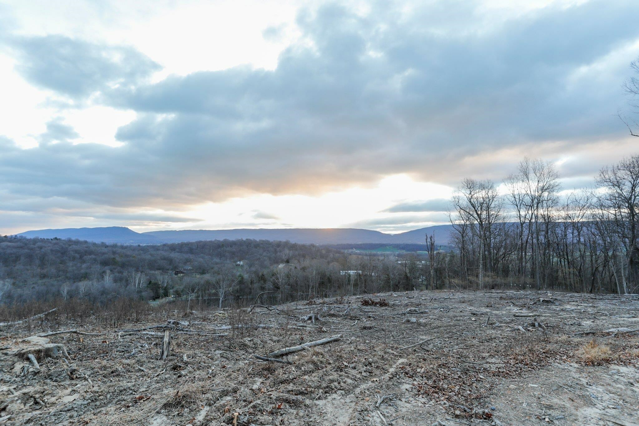 Property Photo:  Tbd New Market Depot Rd  VA 22844 