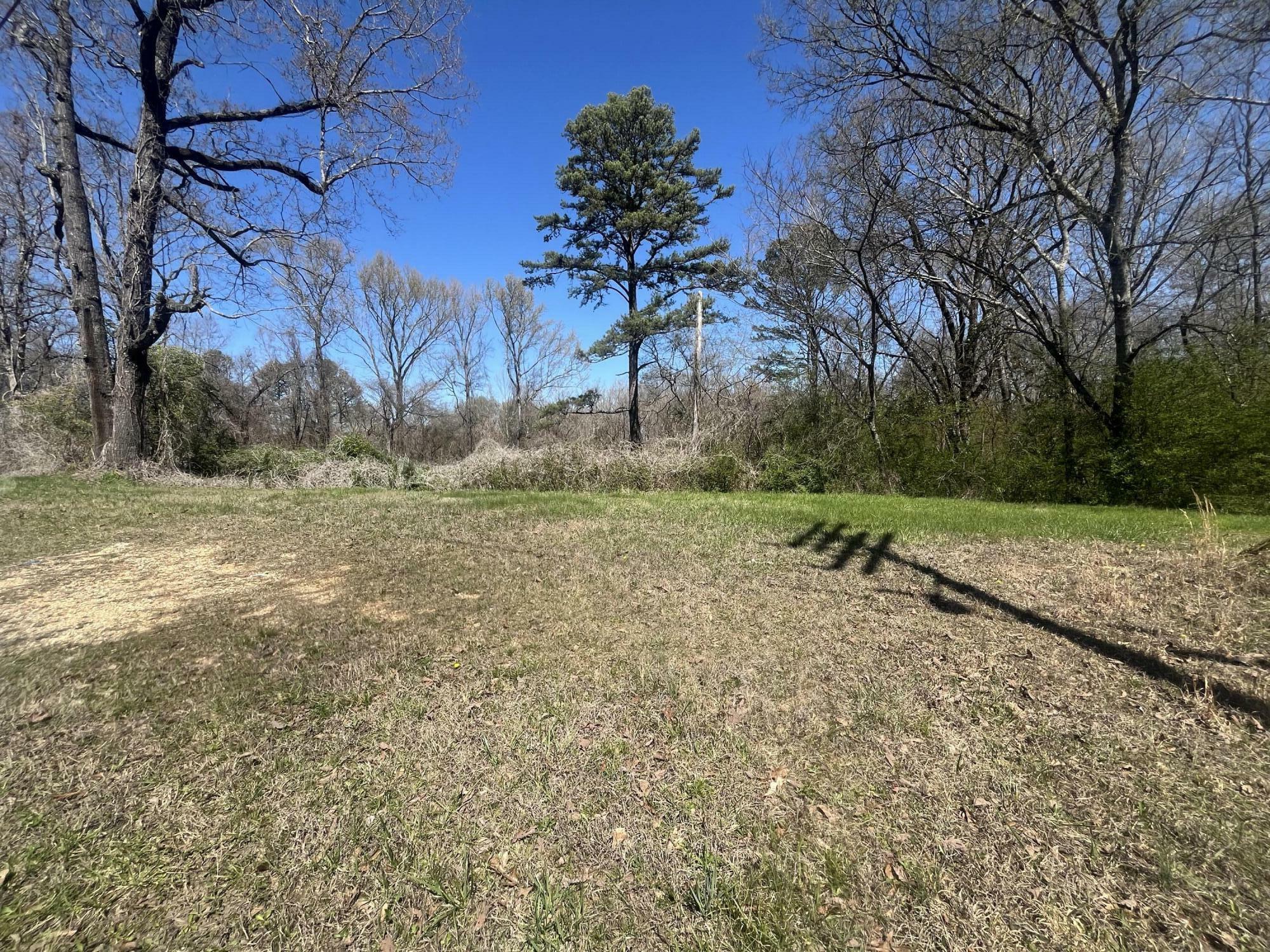 Property Photo:  1.6 Ac 11th Street  AL 35740 