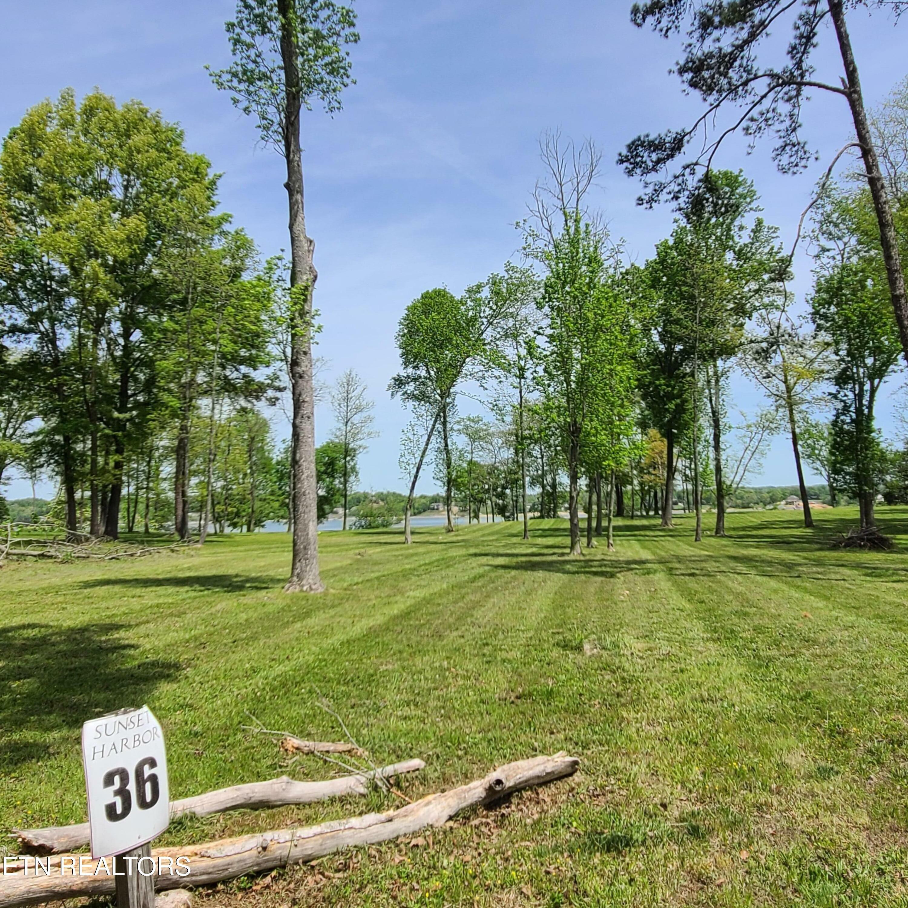 Lot 36 Waterview Lane  Dandridge TN 37725 photo